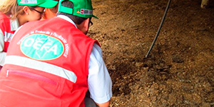 imagenes de la galeria