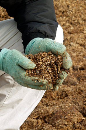 imagenes de la galeria