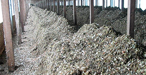 imagenes de la galeria