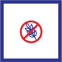 img menú apto para celíacos