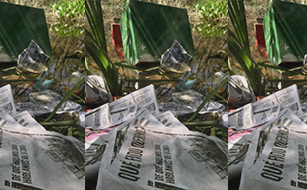 algo flota en el pantano