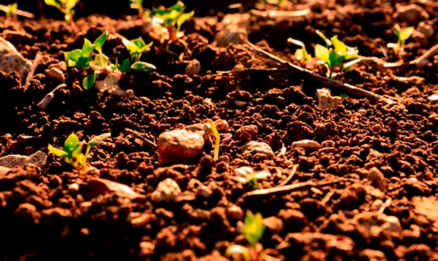Imágen sobre Curso de Compost