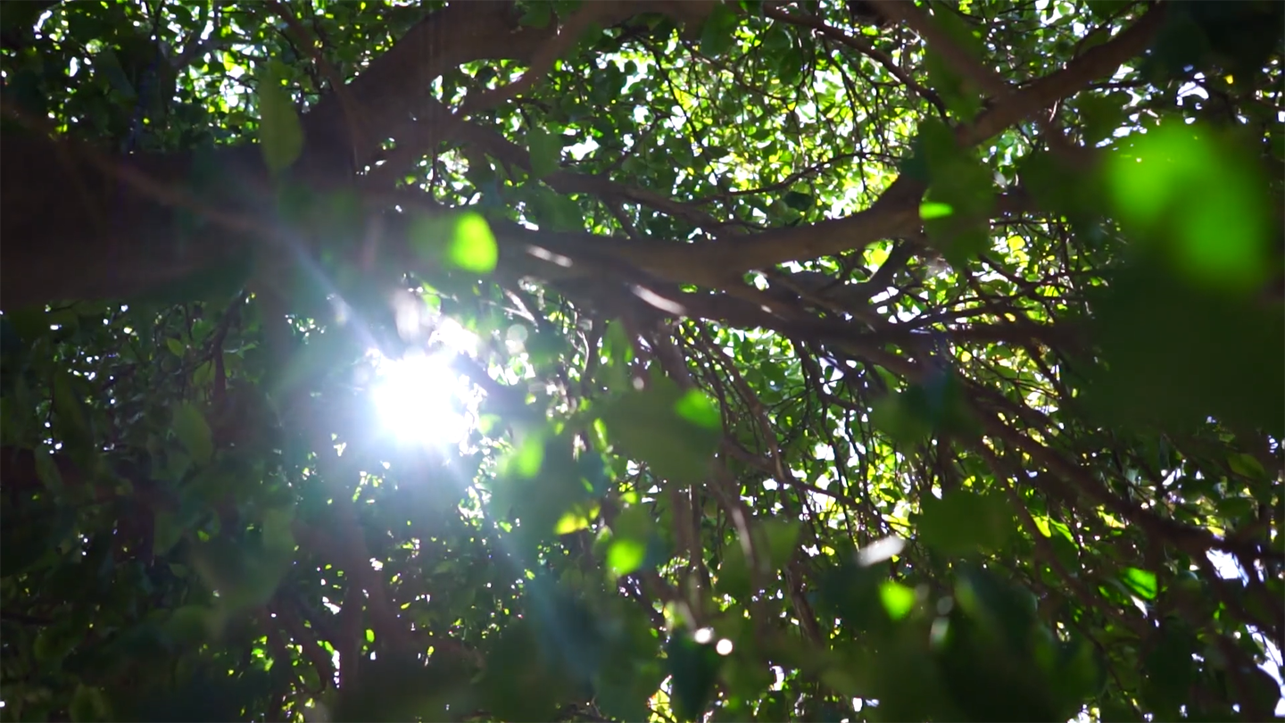 Frame 3 Sueño Lúcido