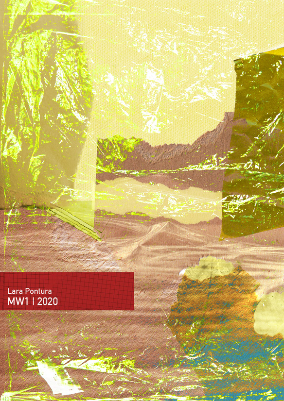 trabajo morfología 1 tapa fanzine