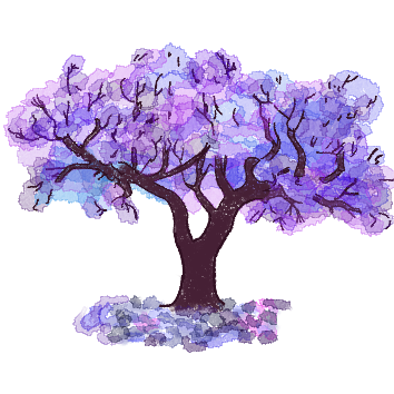 arbol jacaranda