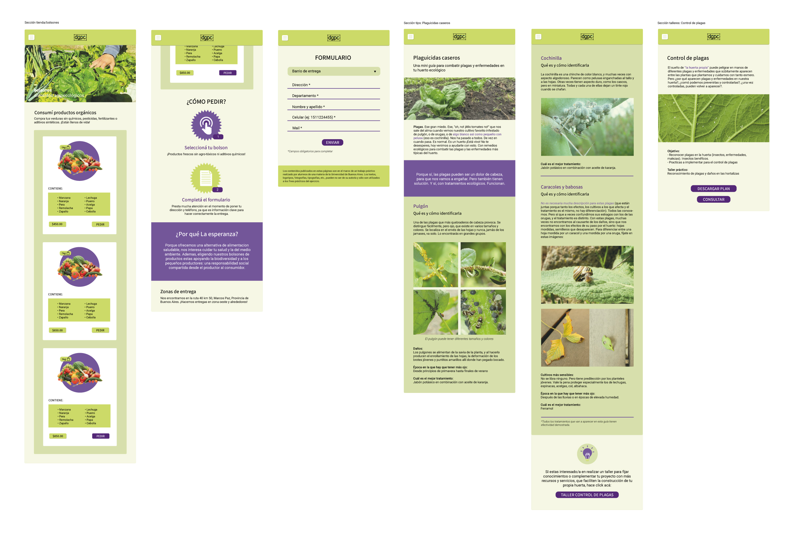 Pantallas Nazarena Perrupato