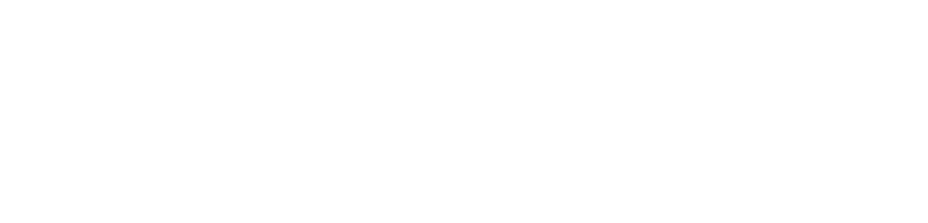 Logo Transbordapp
