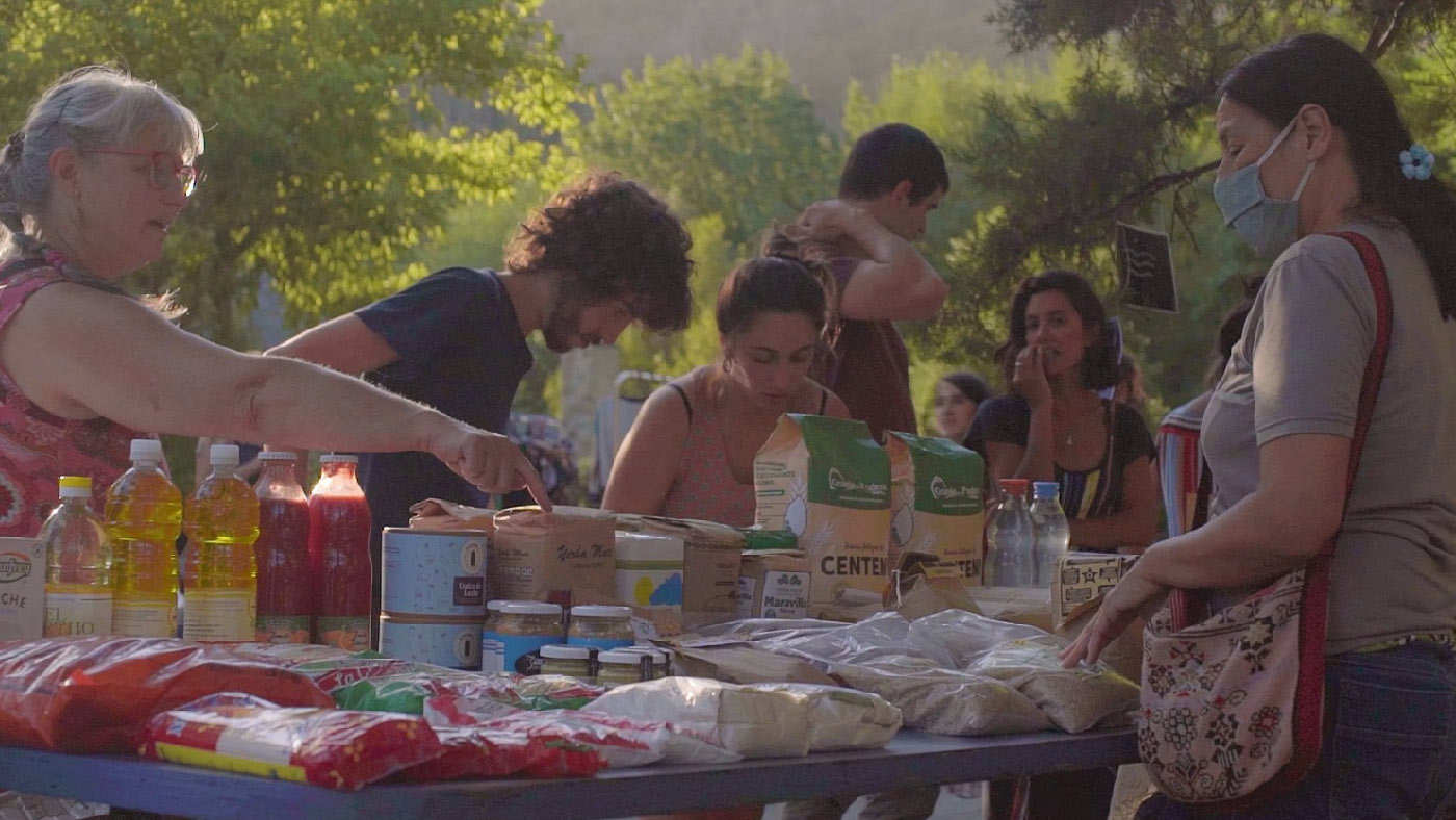 Portada de película: Semilla de saberes