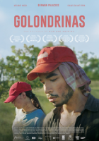 Poster Golondrinas