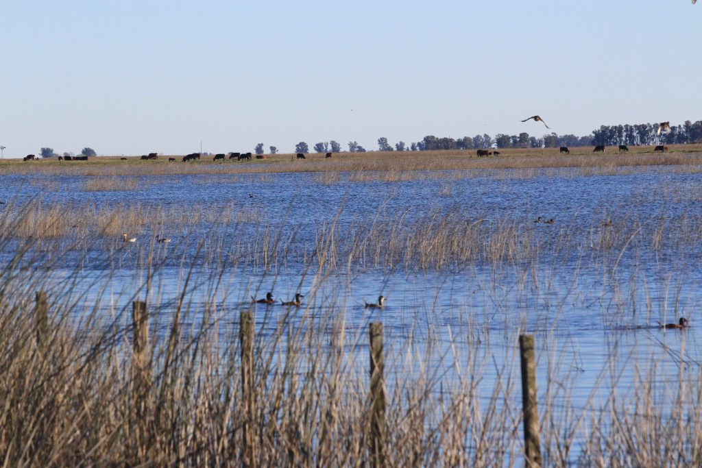 educativa vespertino