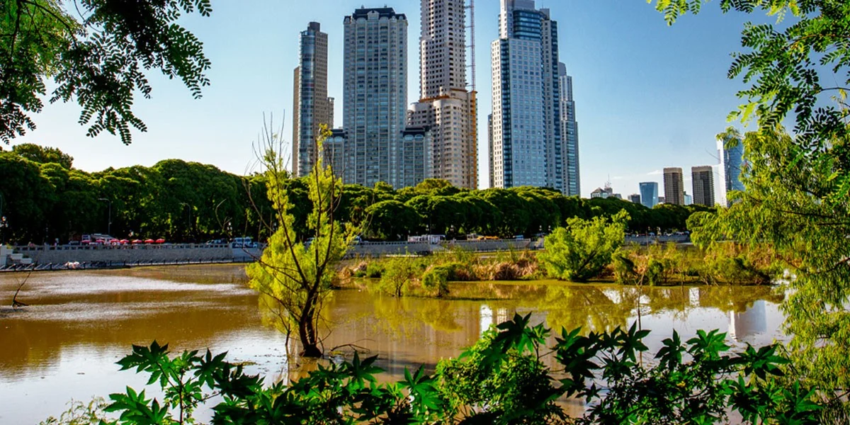 Pastizal Costanera Sur