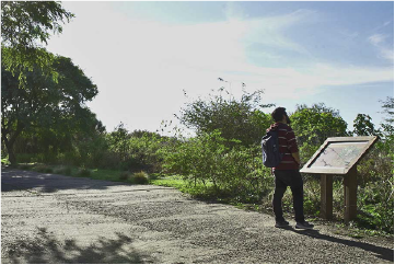 Estudiantes observando aves